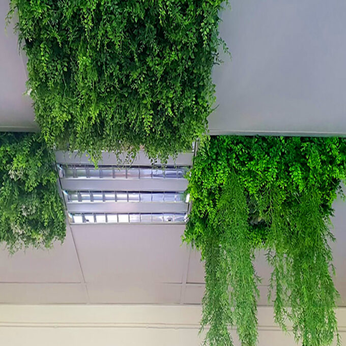 dalle-de-plafond-vegetale-prete-a-poser-1 dalle-de-plafond-vegetale-prete-a-poser-1