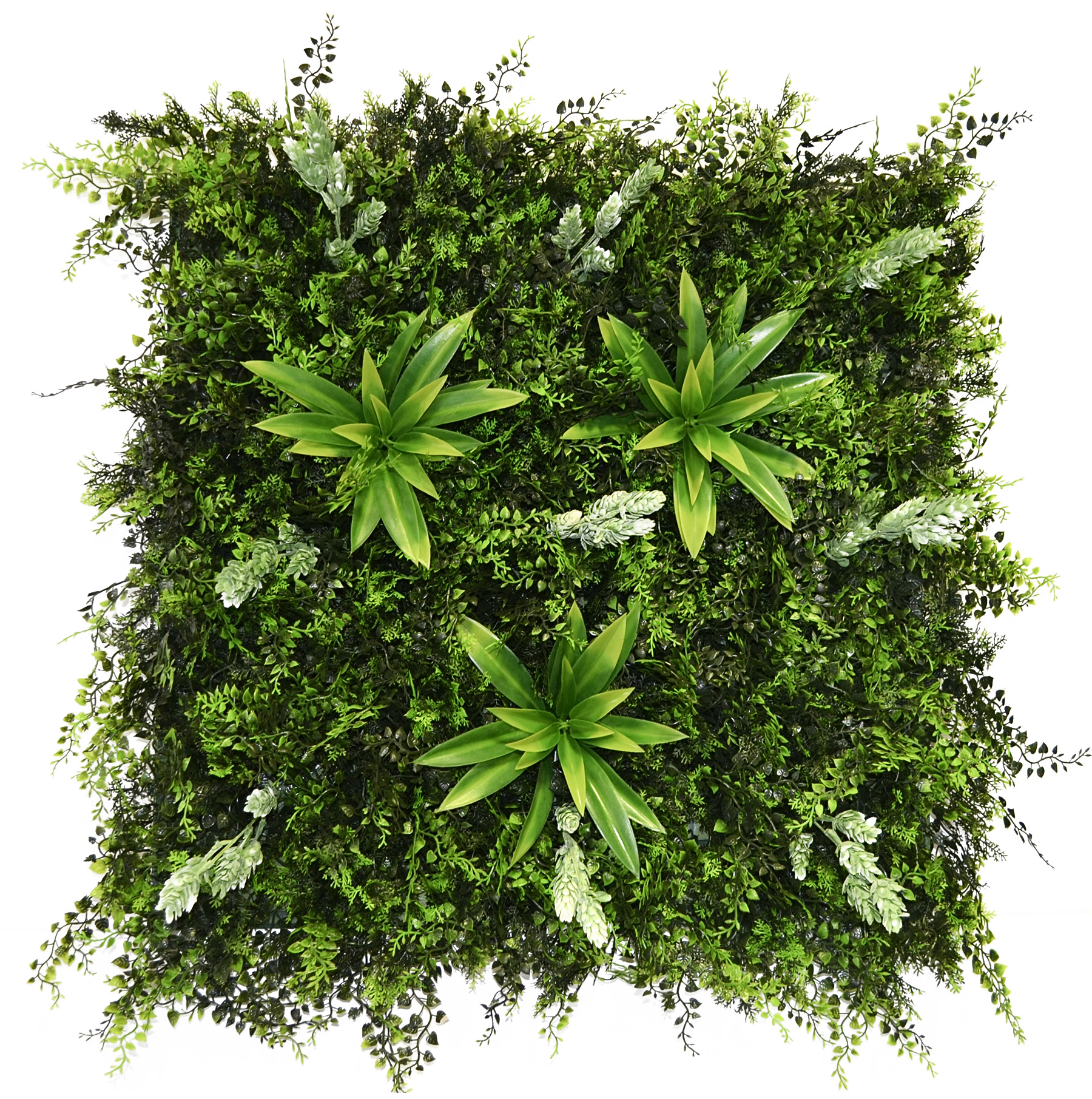 dalle-houblon-60x60cm