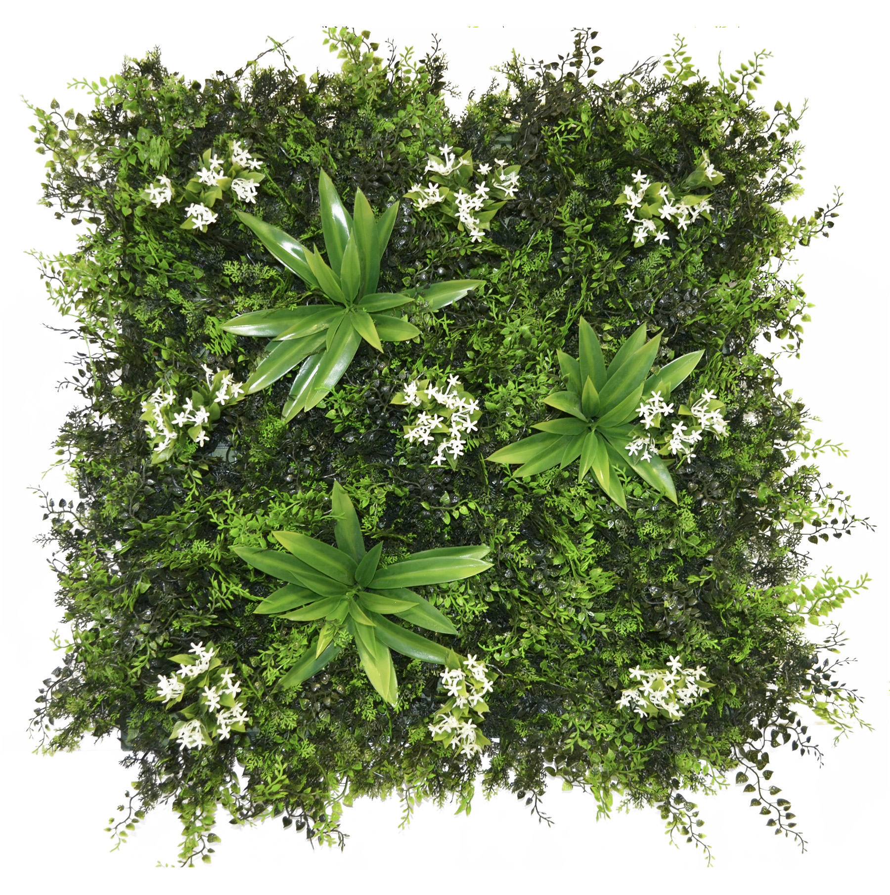 dalle-jasmin-laurier-60x60cm