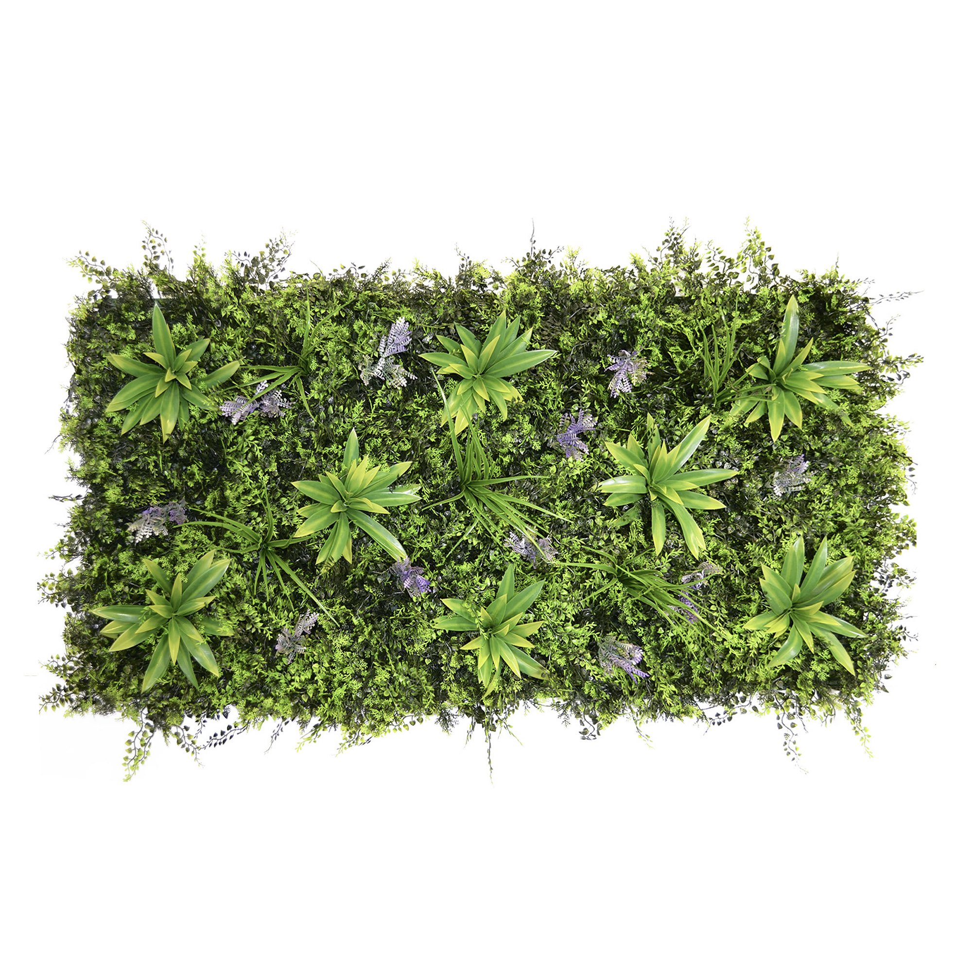 lavande-plaque-60×120-new