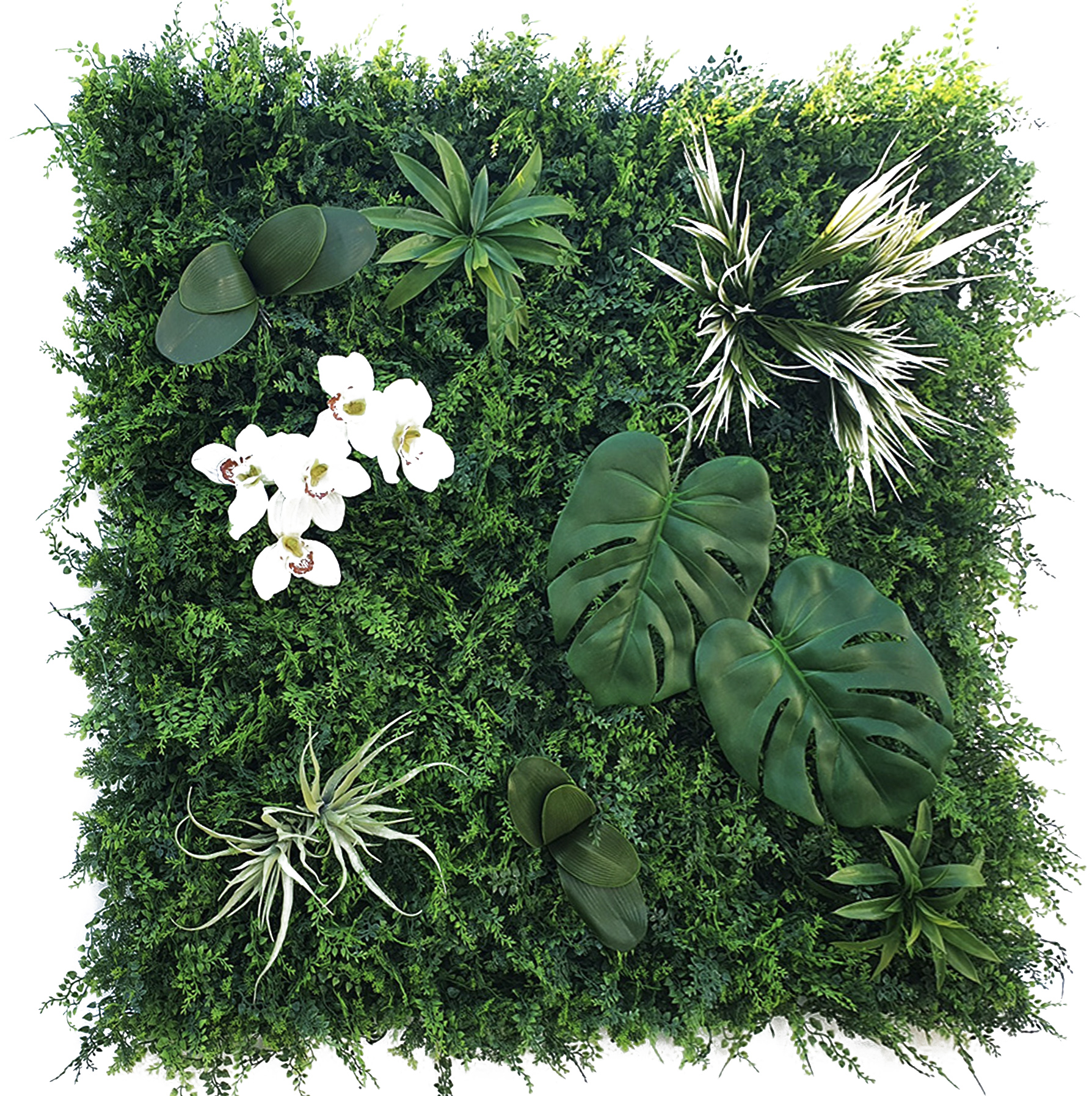 mai-tableau-vegetal-new