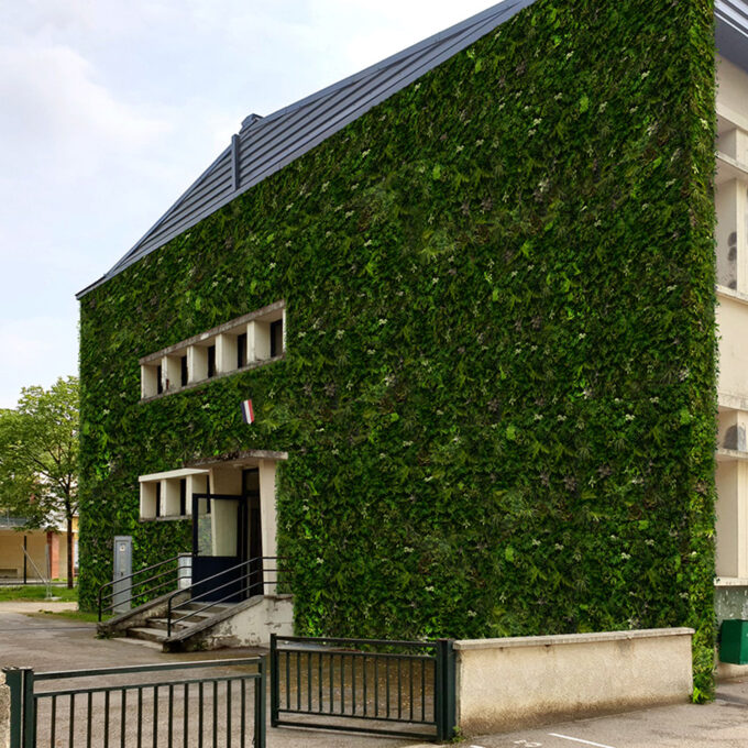 mur-vegetal-exterieur-batiment-mairie mur-vegetal-exterieur-batiment-mairie
