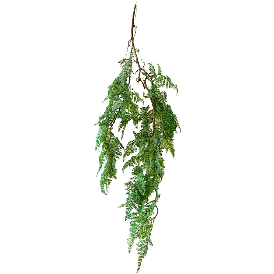 vigne-mur-vegetal.jpg