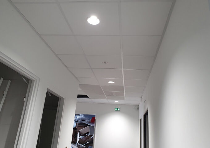 031-plafond-vegetal-avant 031-plafond-vegetal-avant