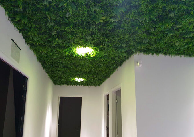 032-plafond-vegetal-apres 032-plafond-vegetal-apres
