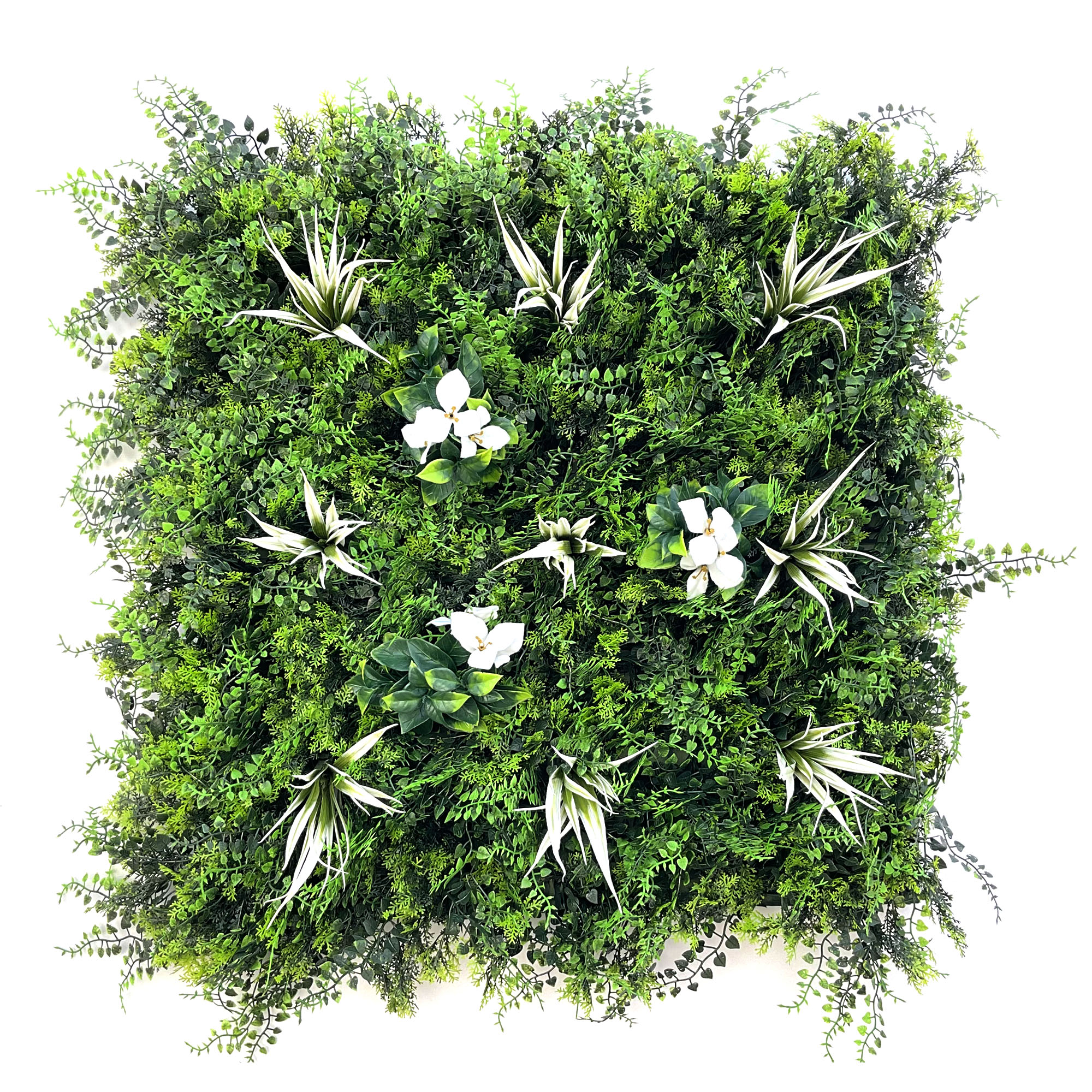 azalee-dalle-60×60