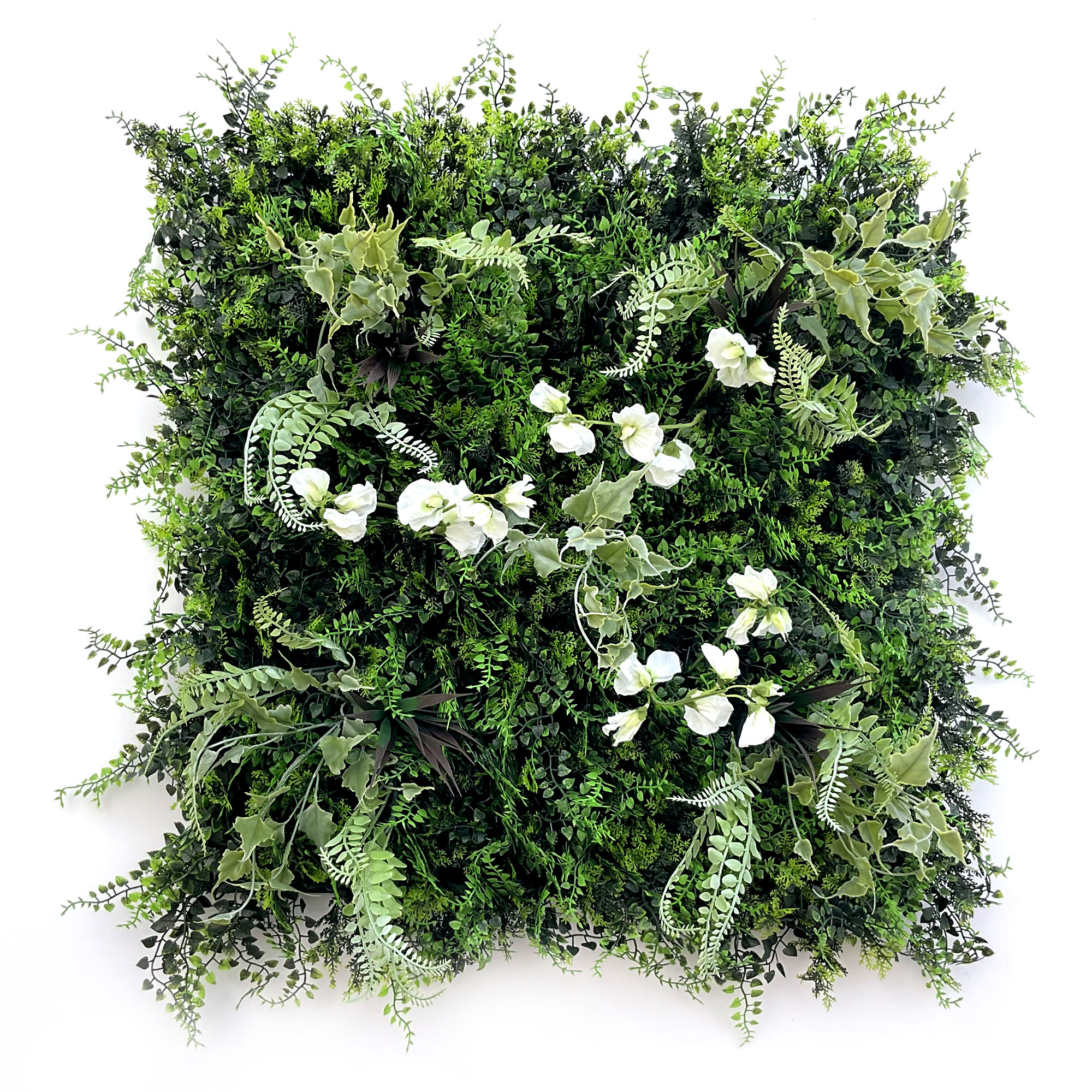 clochette-dalle-60×60