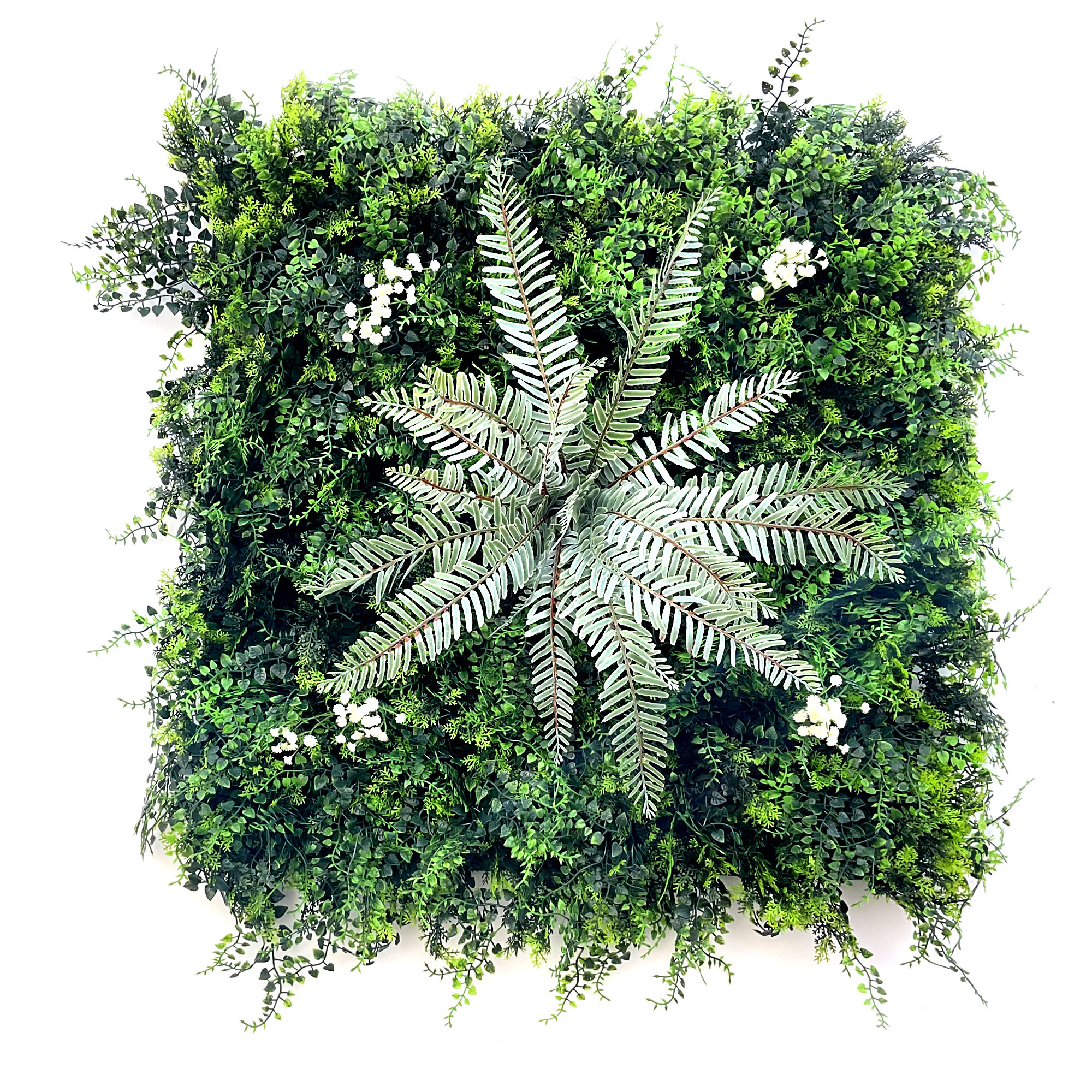 gypsophile-dalle-60×60